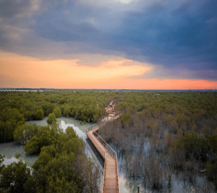 Megaworld International - Mangrove Reserved Park