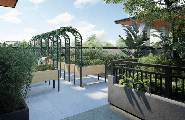 Sante Residence Palawan Botanique Garden